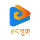 老司机“在线开车”网APP应用